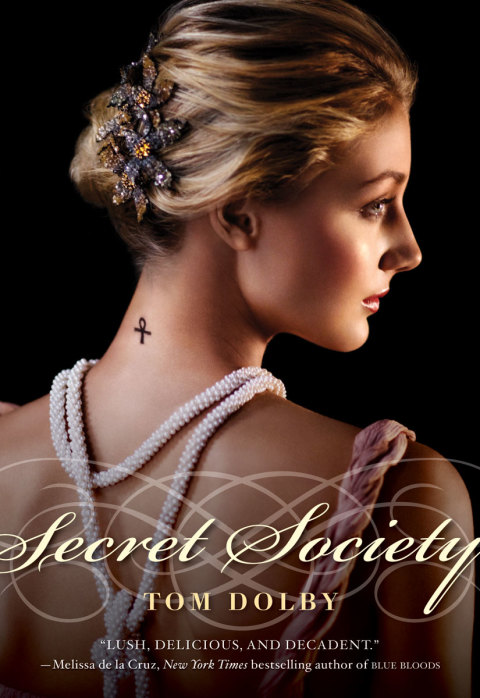 Cover image for book Secret Society