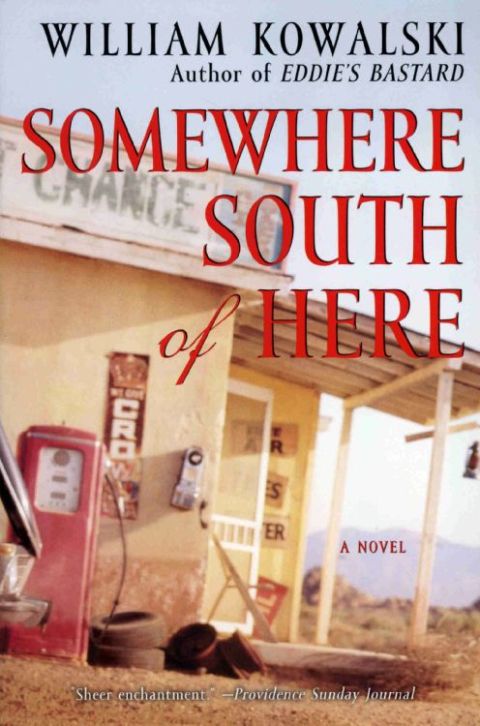 Cover image for book Somewhere South of Here