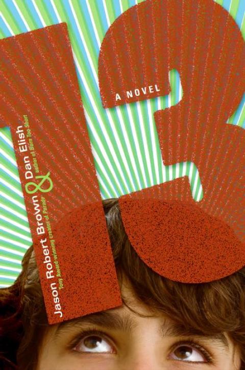 Cover image for book 13: A Novel