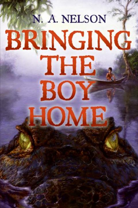 Cover image for book Bringing the Boy Home