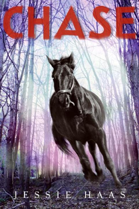 Cover image for book Chase