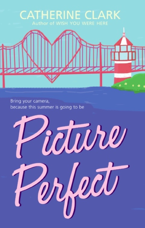 Cover image for book Picture Perfect