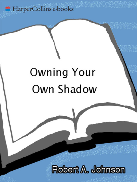 Cover image for book Owning Your Own Shadow
