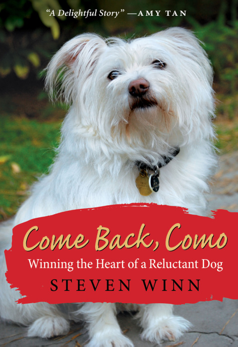 Cover image for book Come Back, Como
