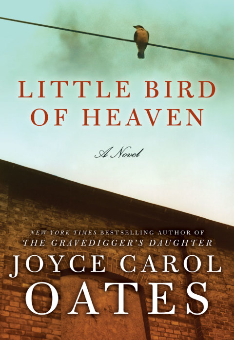 Cover image for book Little Bird of Heaven