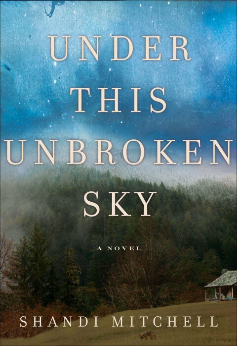 Cover image for book Under This Unbroken Sky