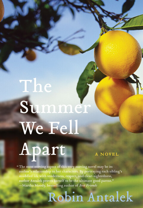 Cover image for book The Summer We Fell Apart