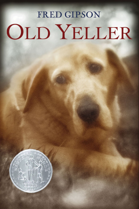 Cover image for book Old Yeller