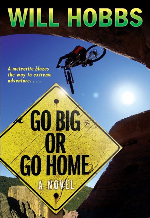 Cover image for book Go Big or Go Home