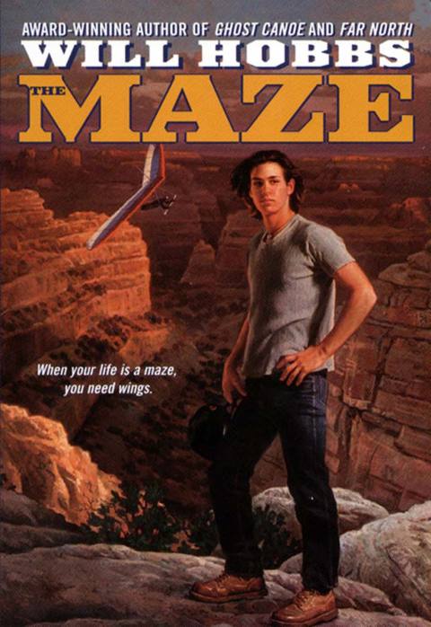 Cover image for book The Maze