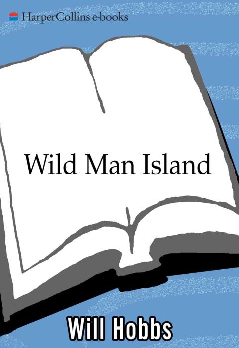 Cover image for book Wild Man Island