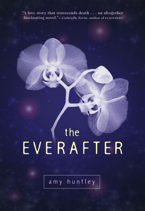 Cover image for book The Everafter