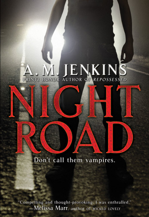 Cover image for book Night Road