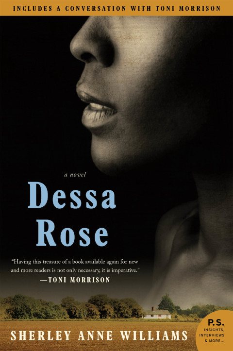 Cover image for book Dessa Rose