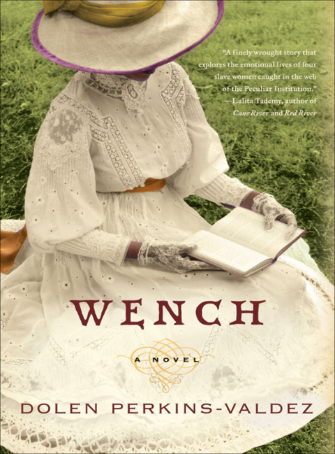 Cover image for book Wench