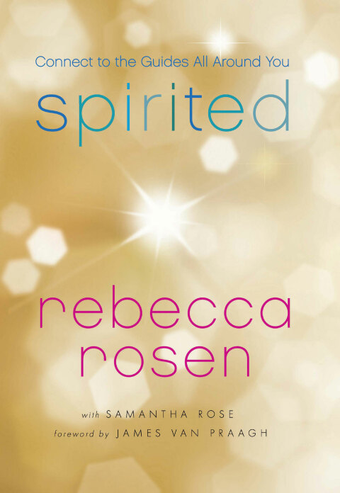 Cover image for book Spirited