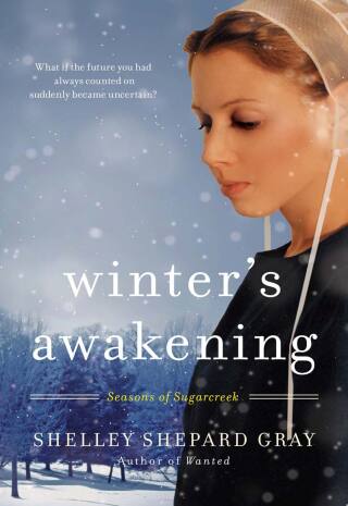 Winter's Awakening
