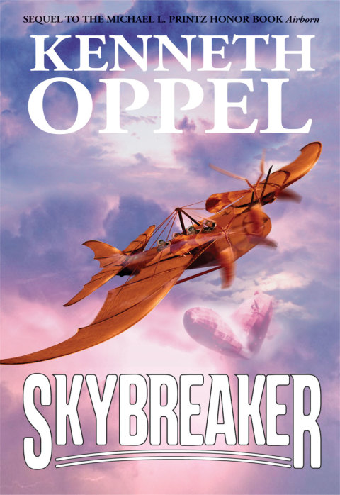 Cover image for book Skybreaker