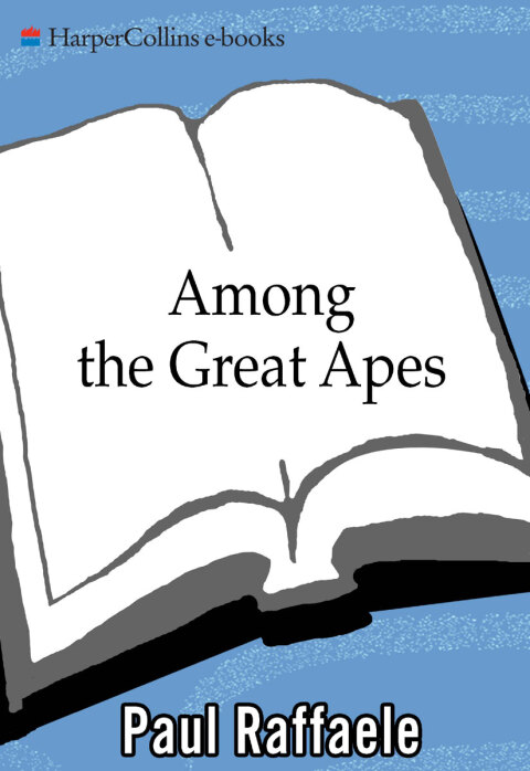 Cover image for book Among the Great Apes