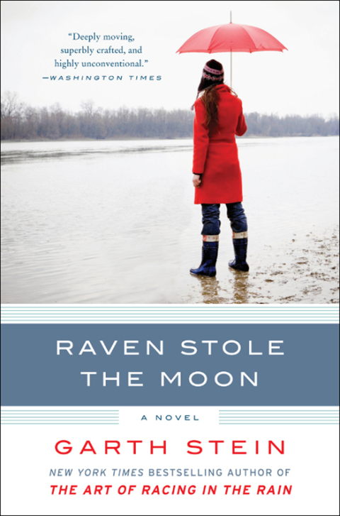 Cover image for book Raven Stole the Moon