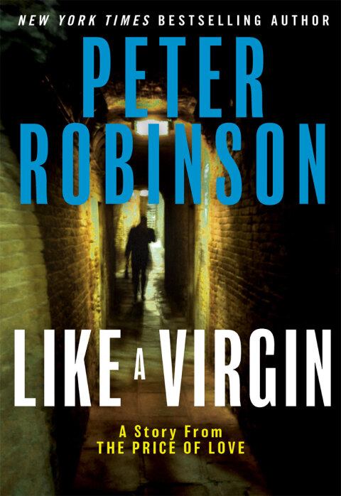 Cover image for book Like a Virgin