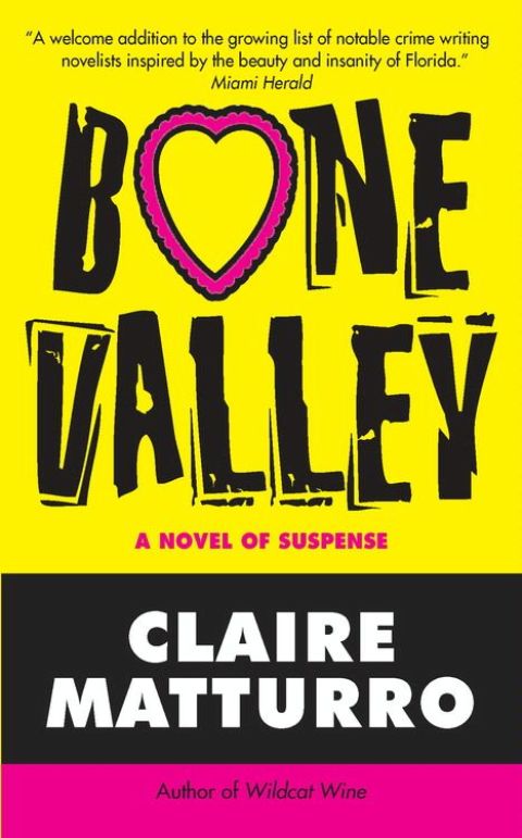 Cover image for book Bone Valley