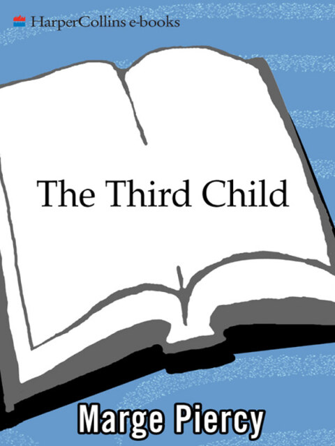 Cover image for book The Third Child