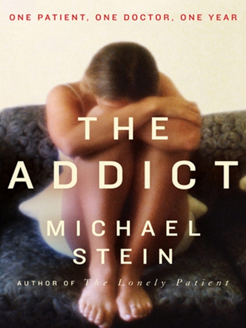 Cover image for book The Addict