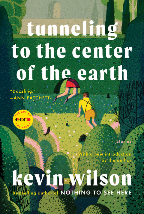 Cover image for book Tunneling to the Center of the Earth