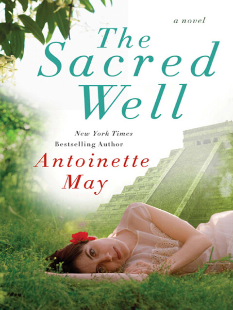 Cover image for book The Sacred Well