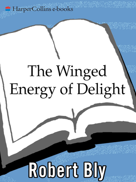 Cover image for book The Winged Energy of Delight