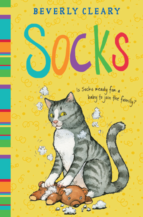 Cover image for book Socks