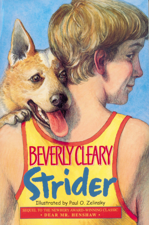 Cover image for book Strider