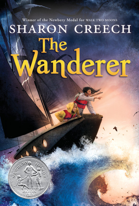 Cover image for book The Wanderer