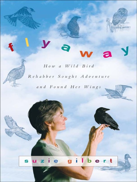 Cover image for book Flyaway