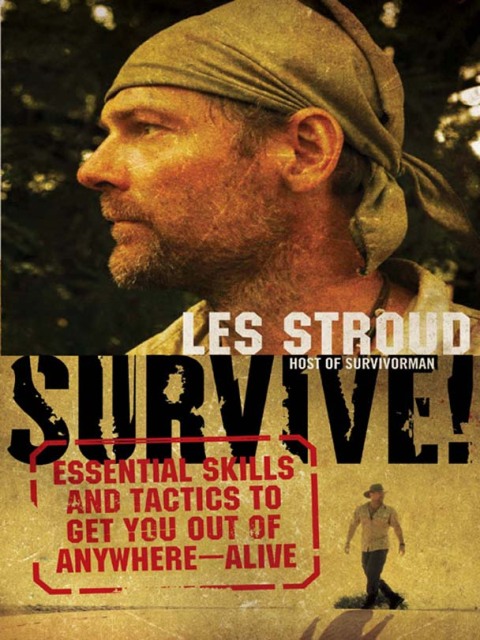 Cover image for book Survive!