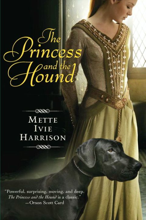 Cover image for book The Princess and the Hound