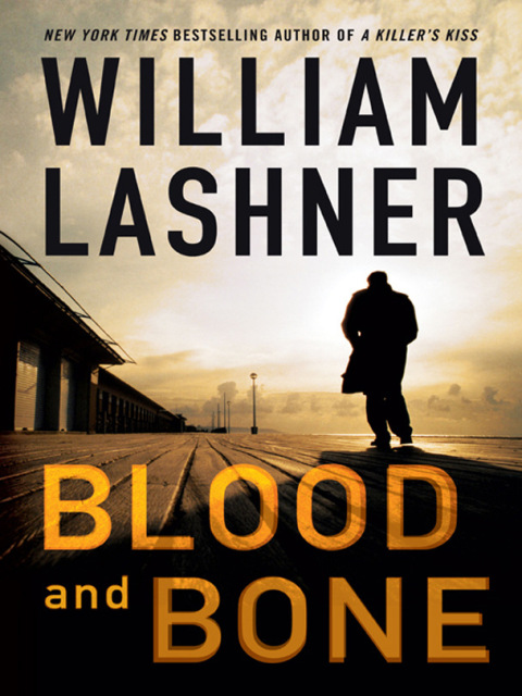 Cover image for book Blood and Bone
