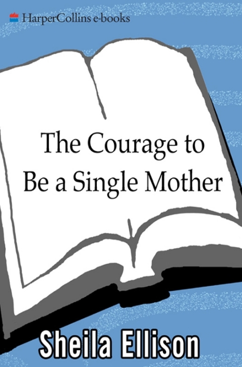 Cover image for book The Courage to Be a Single Mother