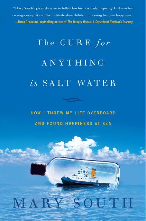 Cover image for book The Cure for Anything Is Salt Water