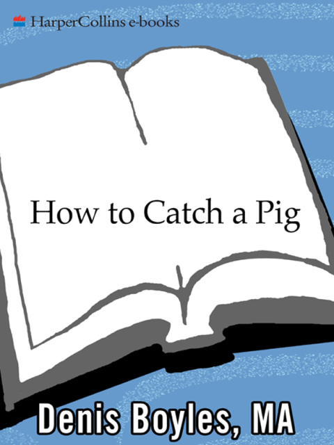 Cover image for book How to Catch a Pig