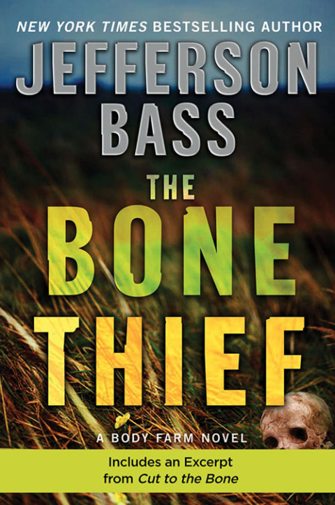 Cover image for book The Bone Thief