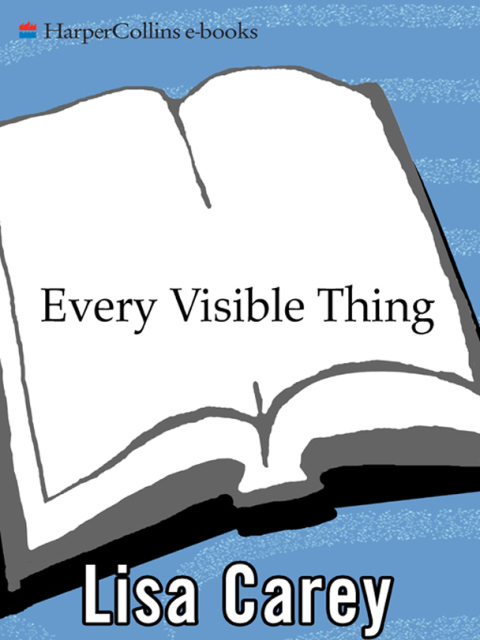 Cover image for book Every Visible Thing