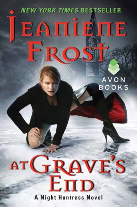 Cover image for book At Grave's End