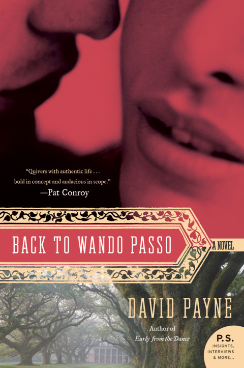 Cover image for book Back to Wando Passo
