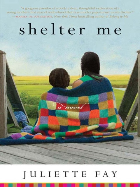 Cover image for book Shelter Me