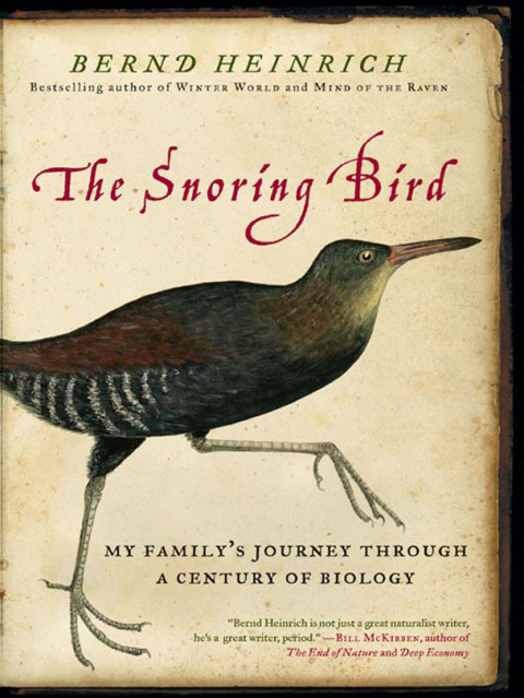 Cover image for book The Snoring Bird