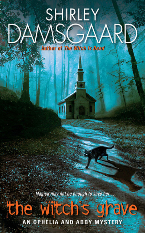 Cover image for book The Witch's Grave