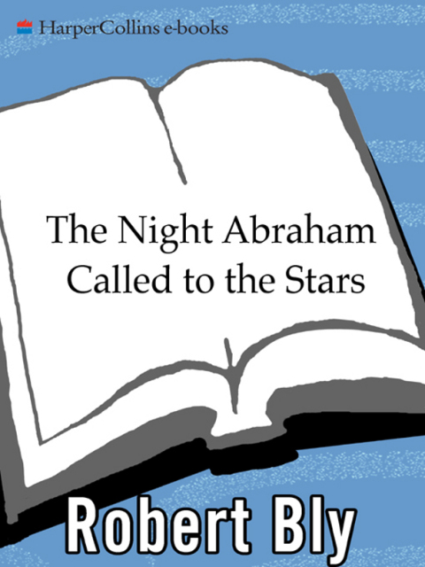 Cover image for book The Night Abraham Called to the Stars