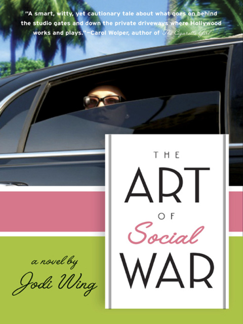 Cover image for book The Art of Social War
